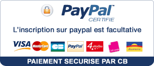 Logo paypal